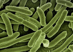 Achat antiparasitic