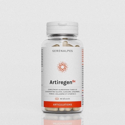 Achat Artiregen 6x