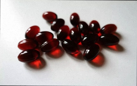 Fat Burner pas cher